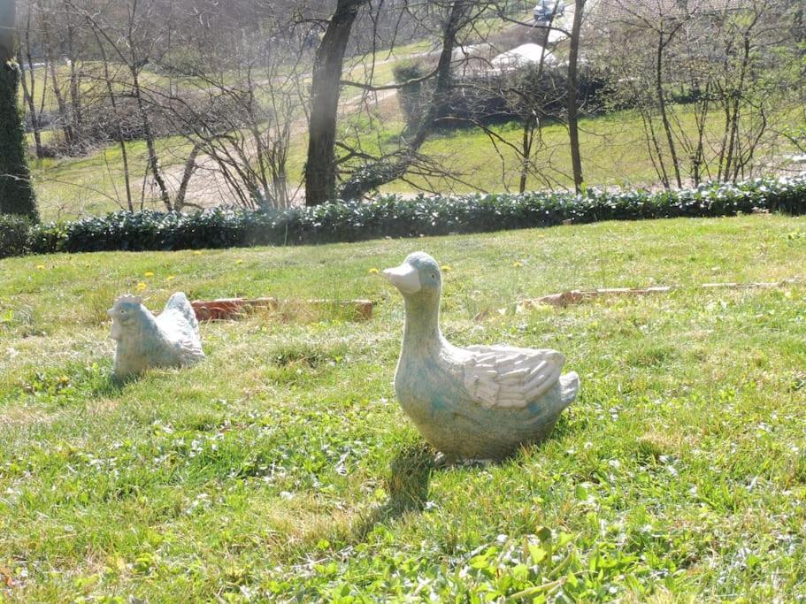 Saint-Paul-de-Varax Au Coeur De La Dombesヴィラ エクステリア 写真